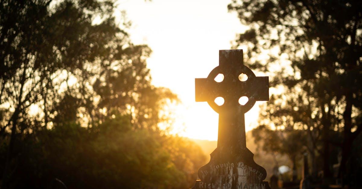 What is a Memorial Tribute? A Heartfelt Guide